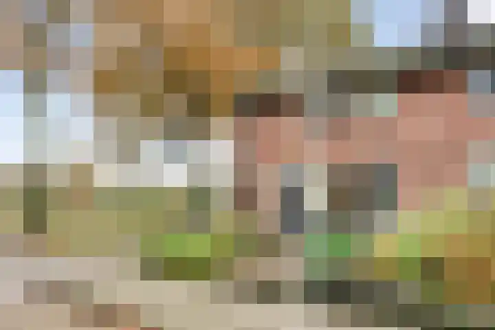 Dreef 86 Vroomshoop foto 3