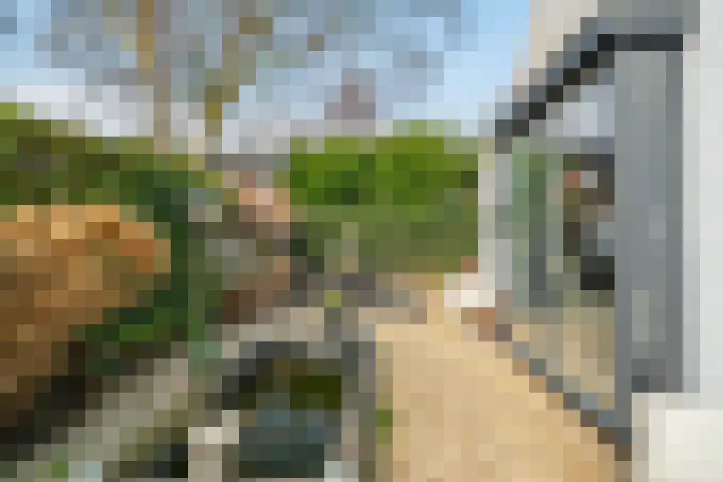 Dreef 86 Vroomshoop thumbnail 33