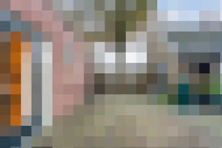 Dreef 86 Vroomshoop thumbnail 38