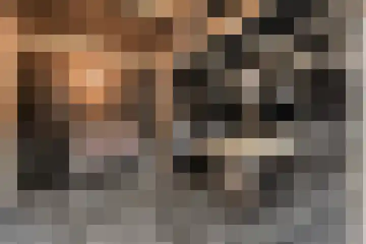 Dreef 86 Vroomshoop thumbnail 39
