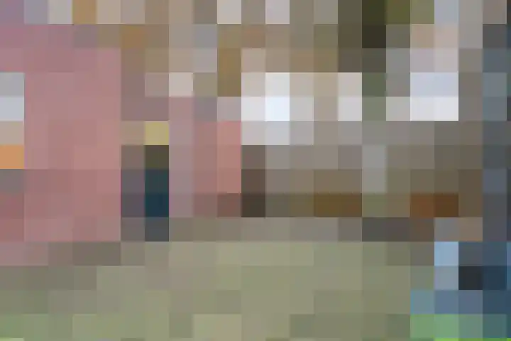 Dreef 86 Vroomshoop thumbnail 42