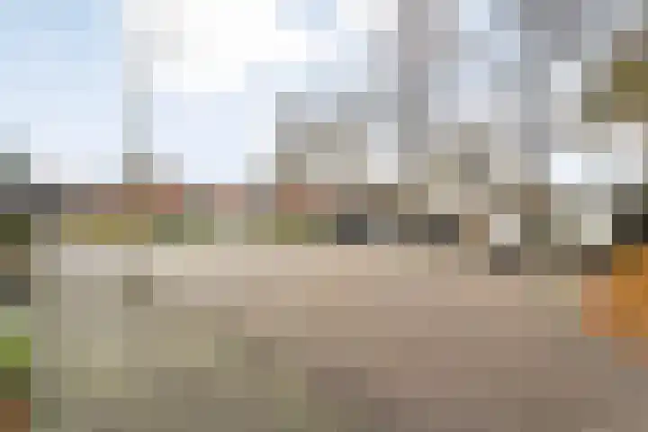Dreef 86 Vroomshoop thumbnail 44