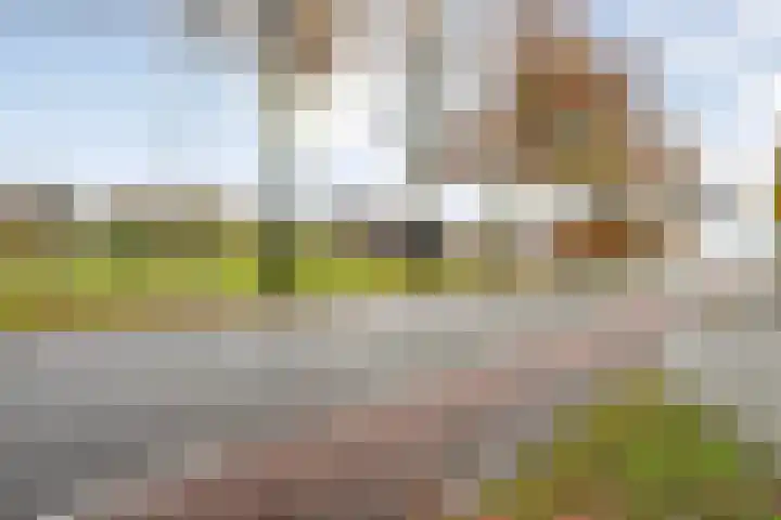 Dreef 86 Vroomshoop thumbnail 45
