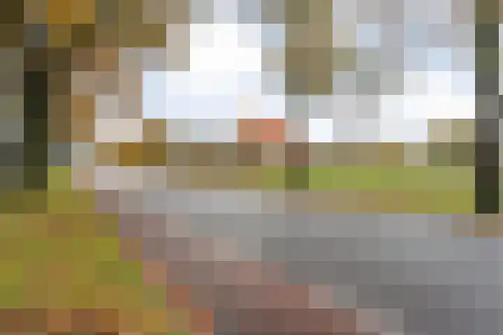 Dreef 86 Vroomshoop thumbnail 46