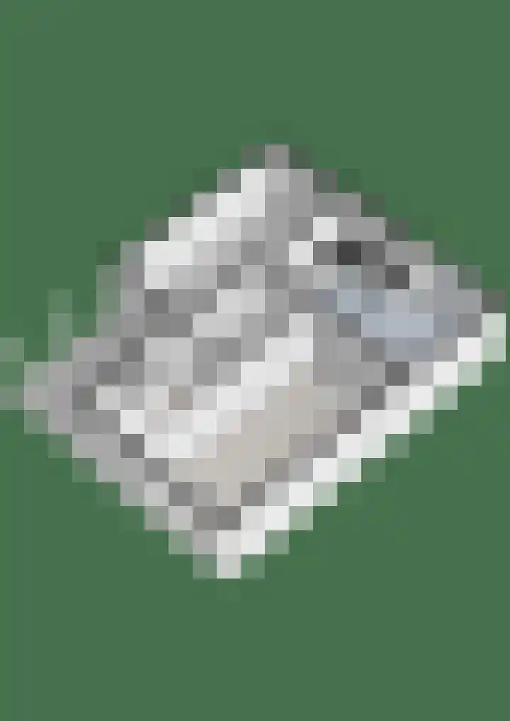 Dreef 86 Vroomshoop thumbnail 48