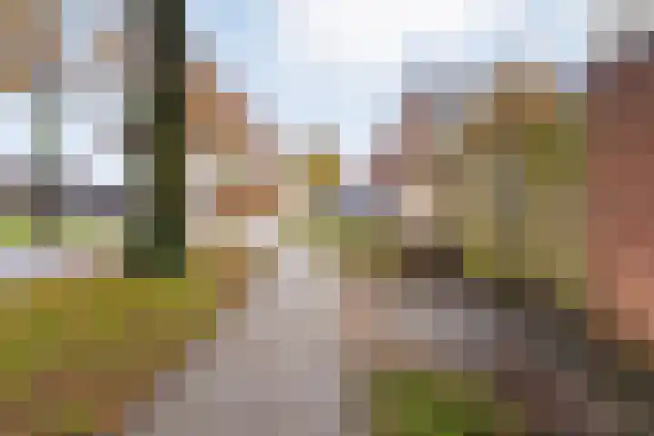 Dreef 86 Vroomshoop thumbnail 5