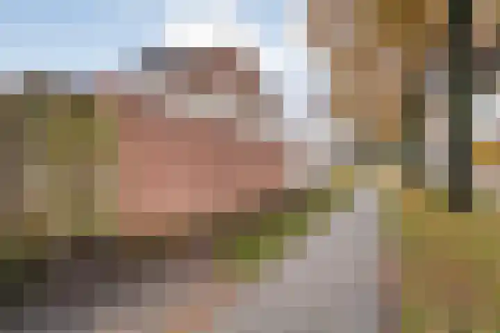 Dreef 86 Vroomshoop thumbnail 6