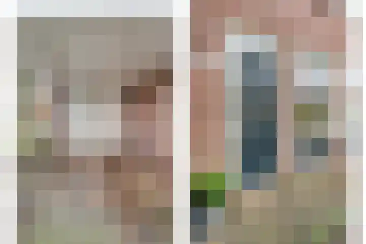 Dreef 86 Vroomshoop thumbnail 8