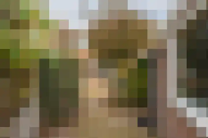 Dreefkant 68 Noordwijk thumbnail 14