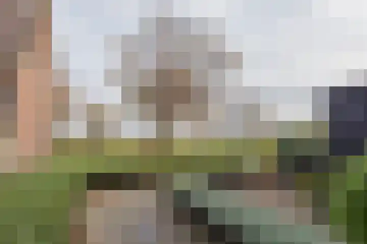 Dreefkant 68 Noordwijk thumbnail 5