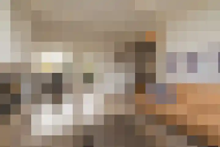 Dreefkant 68 Noordwijk thumbnail 8