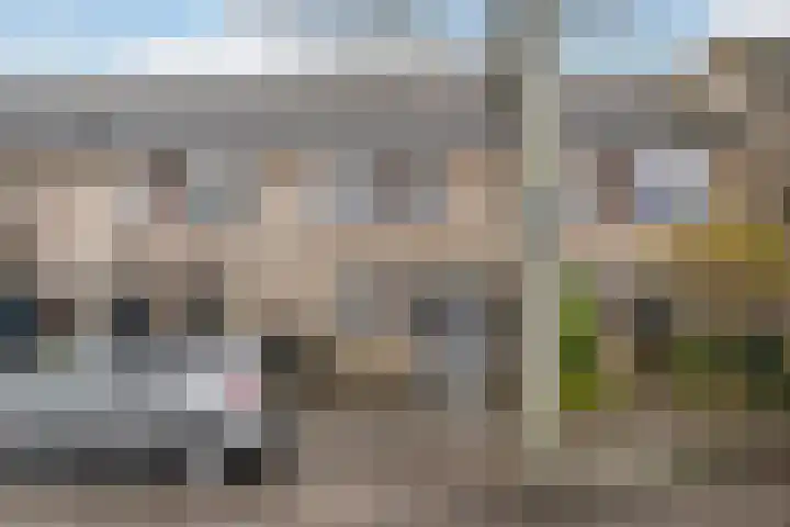 Dreeslaan 102 Naaldwijk thumbnail 27
