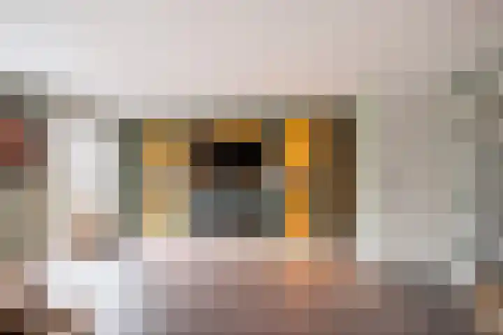 Dreeslaan 102 Naaldwijk thumbnail 7