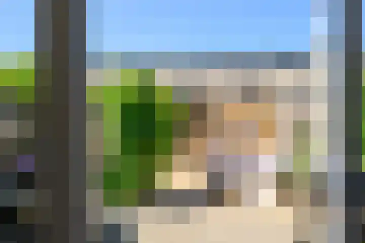 Dreeslaan 248 Naaldwijk thumbnail 15