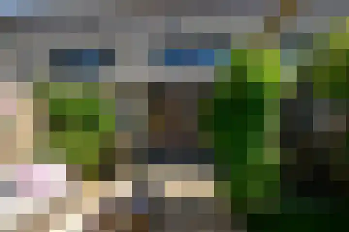Dreeslaan 248 Naaldwijk thumbnail 20