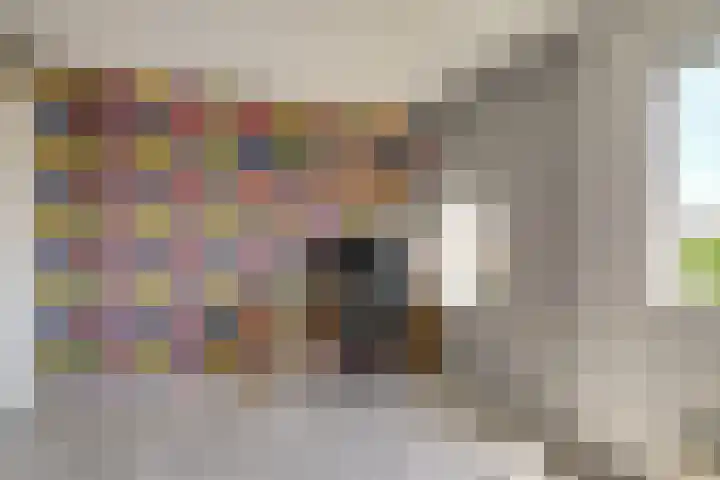 Dreeslaan 248 Naaldwijk thumbnail 26