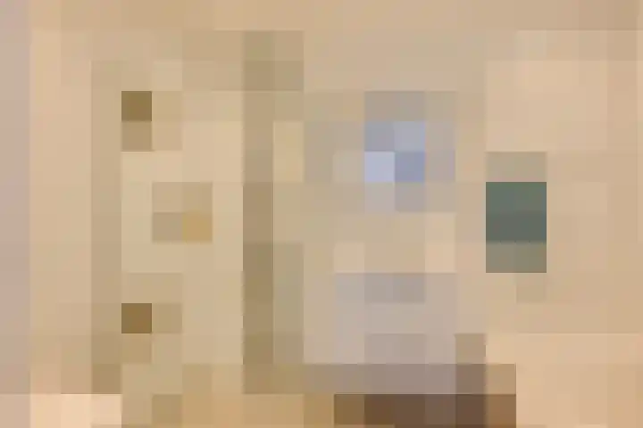 Dreeslaan 248 Naaldwijk thumbnail 30