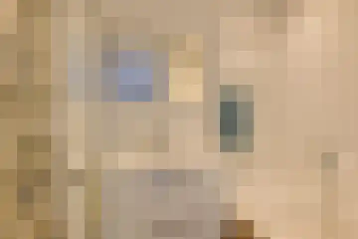 Dreeslaan 248 Naaldwijk thumbnail 31