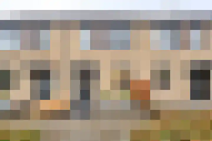 Dreeslaan 29 Naaldwijk