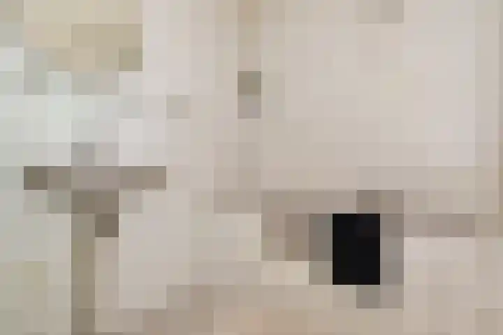 Dreeslaan 43 Naaldwijk thumbnail 27