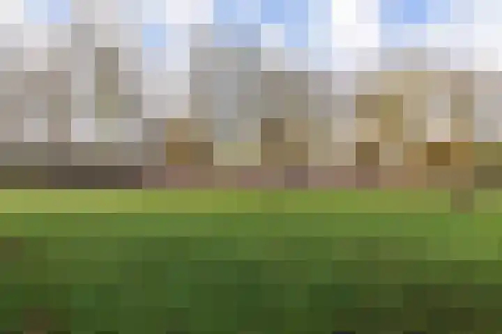 Dreeslaan 43 Naaldwijk thumbnail 29