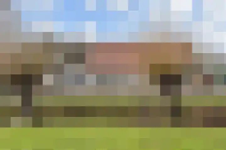 Dreeslaan 43 Naaldwijk foto 3