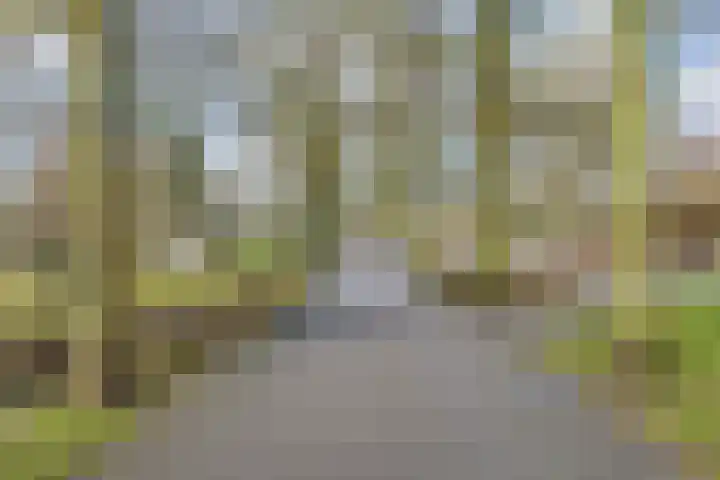 Dreeslaan 43 Naaldwijk thumbnail 30