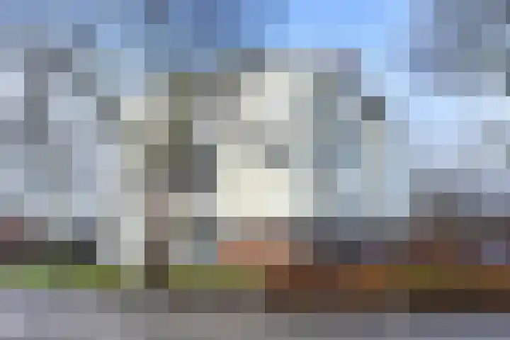 Dreeslaan 43 Naaldwijk thumbnail 31