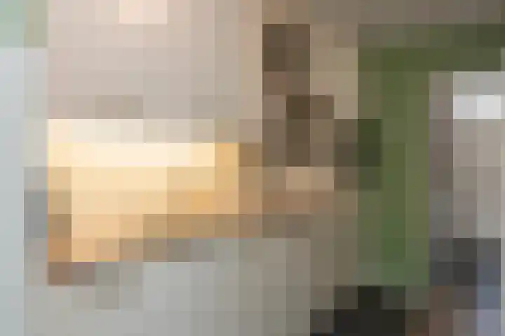 Dreeslaan 45 Nunspeet thumbnail 11