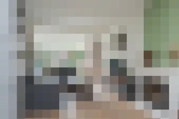 Dreeslaan 45 Nunspeet thumbnail 15