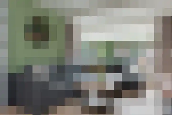 Dreeslaan 45 Nunspeet thumbnail 17