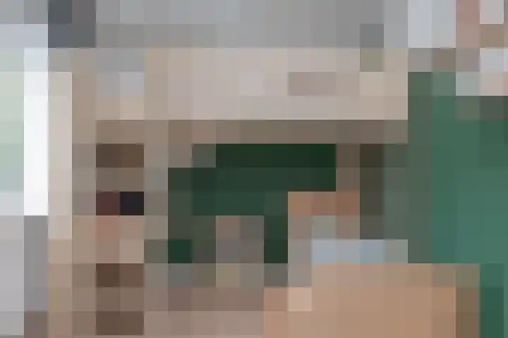 Dreeslaan 45 Nunspeet thumbnail 32