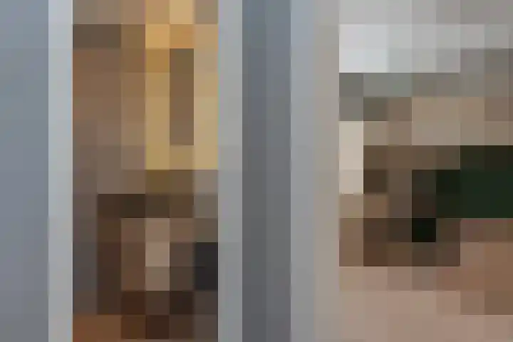 Dreeslaan 45 Nunspeet thumbnail 35