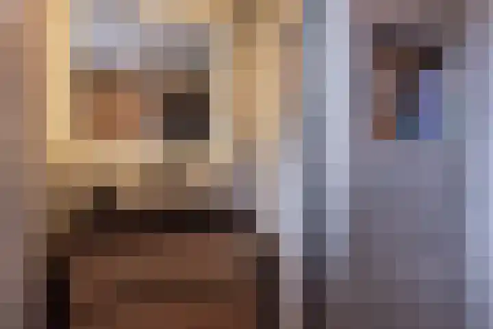 Dreeslaan 45 Nunspeet thumbnail 36
