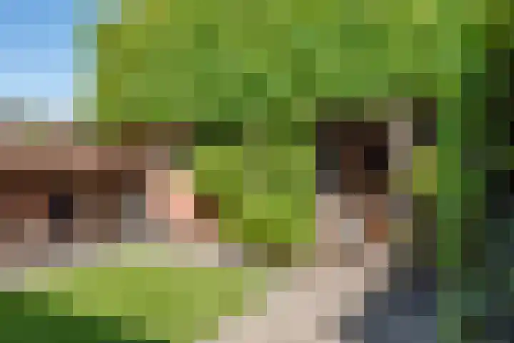 Dreeslaan 45 Nunspeet thumbnail 44