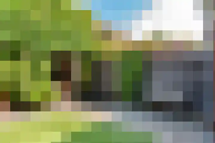 Dreeslaan 45 Nunspeet thumbnail 55