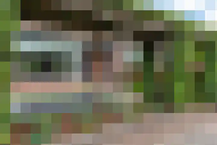 Dreeslaan 45 Nunspeet thumbnail 60