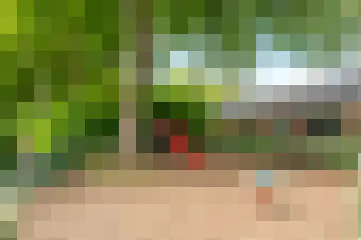 Dreeslaan 45 Nunspeet thumbnail 61