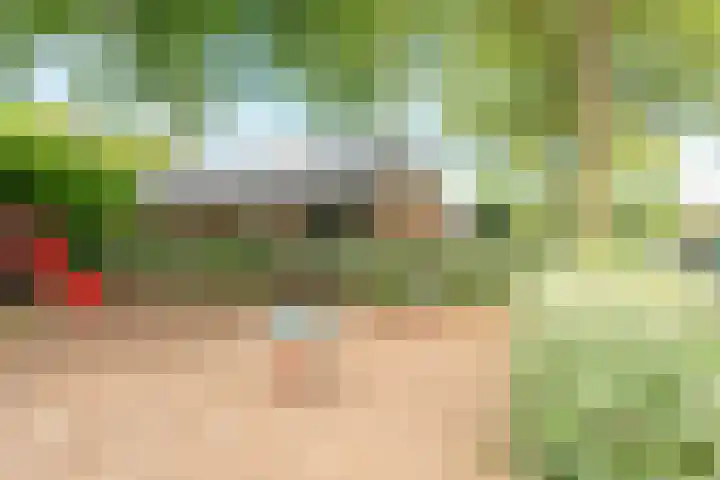 Dreeslaan 45 Nunspeet thumbnail 62