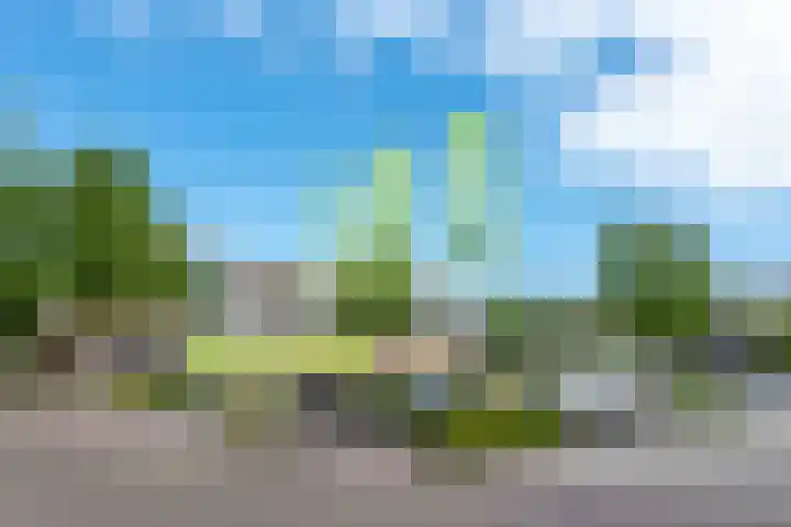 Dreeslaan 45 Nunspeet thumbnail 64
