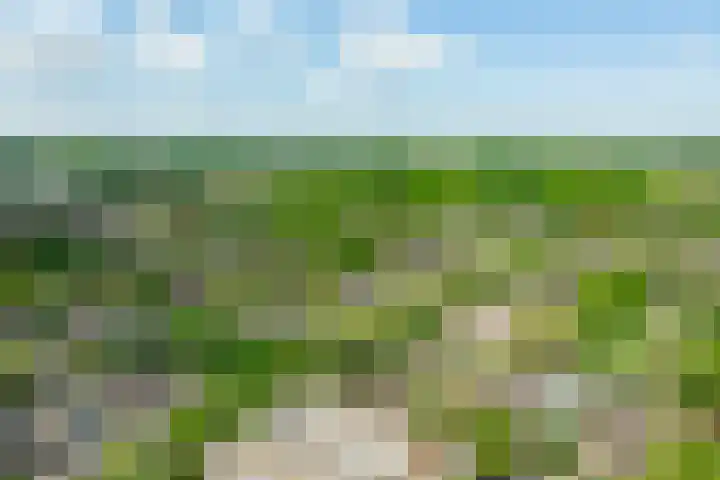 Dreeslaan 45 Nunspeet thumbnail 66