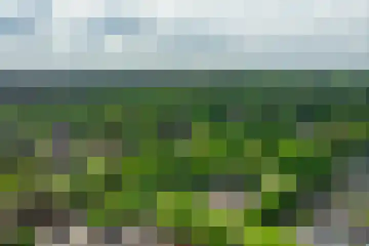Dreeslaan 45 Nunspeet thumbnail 69