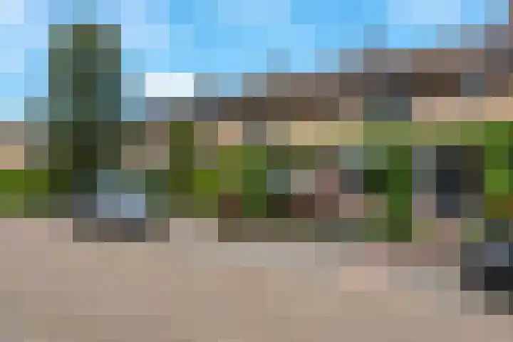 Dreeslaan 45 Nunspeet thumbnail 74