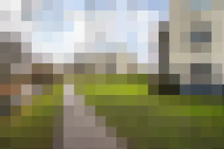 Dreeslaan 59 Naaldwijk thumbnail 31