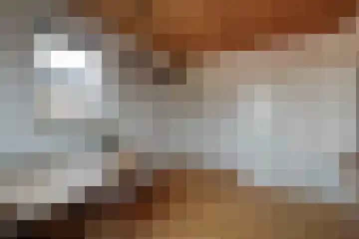 Dreeslaan 6 Havelte thumbnail 16
