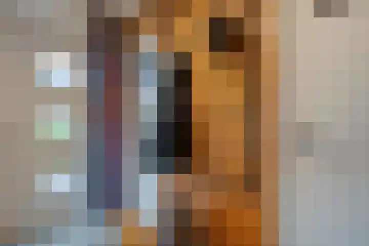 Dreeslaan 6 Havelte thumbnail 20