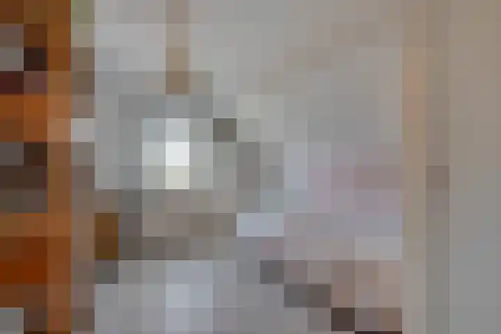 Dreeslaan 6 Havelte thumbnail 29