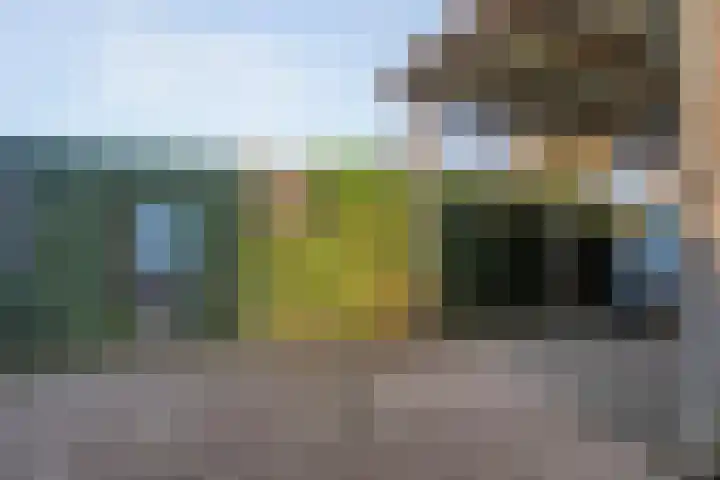 Dreeslaan 6 Havelte thumbnail 35