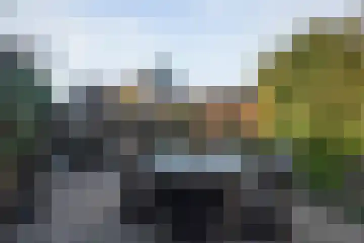 Dreeslaan 6 Havelte thumbnail 45