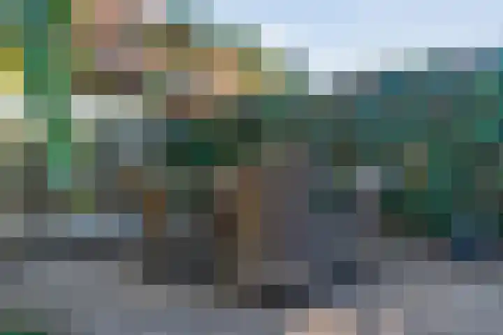Dreeslaan 6 Havelte thumbnail 46
